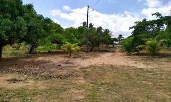 Imagem 7: Granja com 3,5 em caiana na estrada de muriú, bom para loteamento,beira de pista