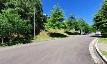 Imagem 2: GRAMADO - Terreno Padrão - Alphaville