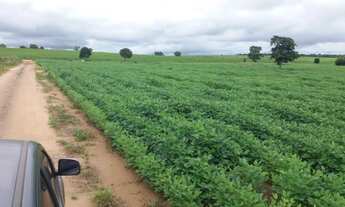 Imagem 2: FAZENDA DE SOJA EM GRAJAÚ
