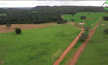 Imagem 5: Fazenda em Goiatins. 73 mil por alqueire
