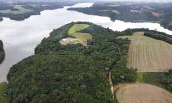Imagem 2: Chácara em Campo Largo