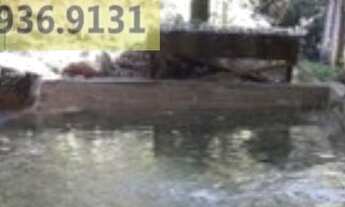 Imagem 7: Chácara para Venda em Florianópolis, Vargem do Bom Jesus, 3 dormitórios, 2 banheiros, 2 va