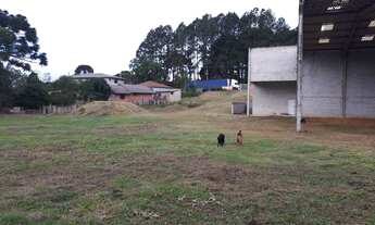 Imagem 5: Vende-se área 51mil MT com barracão em quatro barras 490 MT