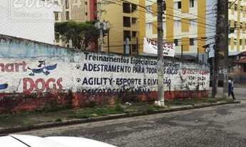 Imagem 2: Santo André - Terreno Padrão - Vila Bastos