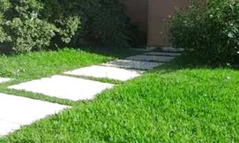 Imagem 3: SãO PAULO - Casa Padrão - Alphaville