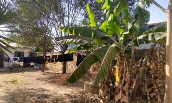 Imagem 6: Casa Com Ótimo Investimento Futuro-aceito Proposta