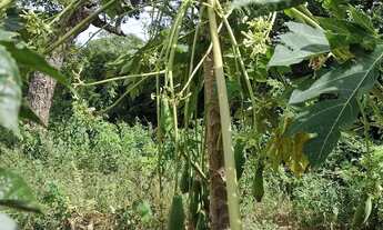 Imagem 3: Terreno serra do cipó