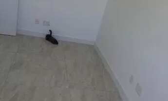 Imagem 7: Apartamento à venda possui 02 d, 02 bh e gar em pd com elev