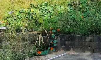 Imagem 7: Casa Casa com 3 dormitórios