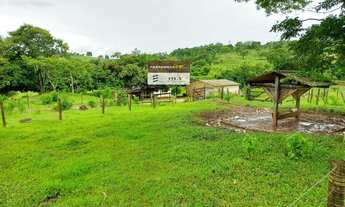 Imagem 2: Fazenda na Região de Nerópolis-GO ! 20 Alqueires ! Oportunidade