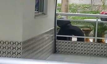 Imagem 4: Excelente Apartamento portaria 24 horas