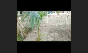 Imagem 2: Terreno plano Terreno / lote com venda por R$5.000
