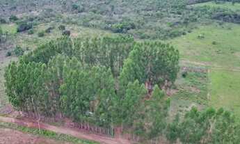Imagem 2: Chácara de 6 hectares em Jaraguari, MS: Um Refúgio Tranquilo no Campo