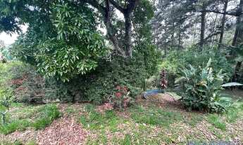 Imagem 7: CASA TÉRREA - JARDIM SANTO ANTÔNIO - SP