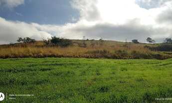 Imagem 6: Sitio de 5 alqueiro planta 4 regiao de Asai-pr