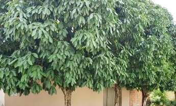 Imagem 2: Casa a venda no Edson Queiroz