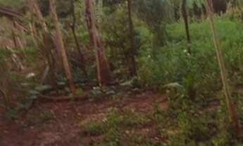 Imagem 4: Chacara de 9 Hectares. Banhada pelo Rio Jatobá