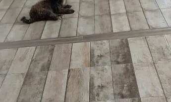 Imagem 5: Casa no Santa Cecília, vendo ou troco