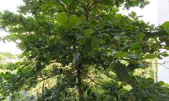 Imagem 5: Apartamento para Aluguel - Freguesia , 2 Quartos, 50 m2