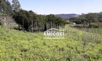 Imagem 7: Chácara com 1 dormitório à venda, 33000 m² por R$ 310.000,00 - Zona Rural - Caraá/RS