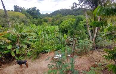 Imagem 7: Fazenda/Sítio/Chácara para venda possui 6000 metros quadrados com 3 quartos