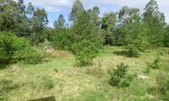 Imagem 2: Casa com 3 dormitórios para alugar, 100 m² por R$ 1.800,00/mês - Hípica - Porto Alegre/RS