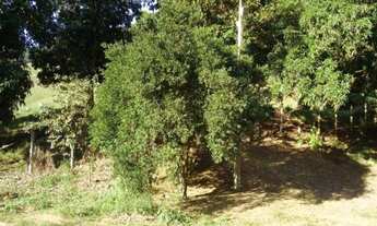 Imagem 7: VENDO SÍTIO AFONSO CLÁUDIO, ES