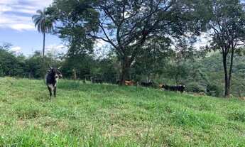 Imagem 4: Chácara 10.000m² com cachoeira de aguas cristalinas nos fundos, Jaboticatubas