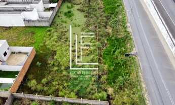 Imagem 2: 2 lotes no Via Mares do Francês às margens da pista, colado ao viaduto