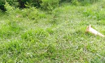 Imagem 6: Sitio 7 Alqueires,Terra de Cultura ,25 minutos Major Prates.