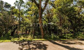 Imagem 3: TERRENO CONDOMÍNIO PINHEIRO GROSSO