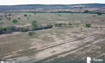 Imagem 4: FAZENDA EM JOÃO PINHEIRO-MG