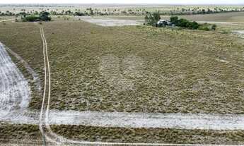 Imagem 4: Sítio à venda em Área Rural De Boa Vista - RR