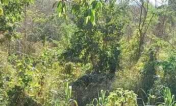 Imagem: Chacara no Coxipó do Ouro