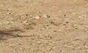 Imagem 5: Vendo terreno na cidade de Monte Alto Aceito Financiamento