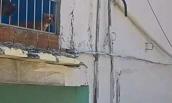 Imagem 2: Duplex a venda Casa com 4 dormitórios