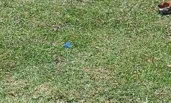 Imagem: Terreno a 200 metros da praia