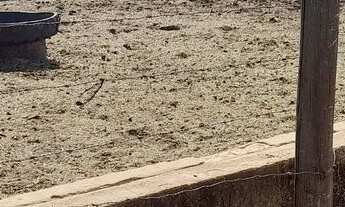 Imagem 7: Chácara 20.000 m² aceita negociação