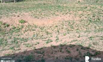 Imagem 5: FAZENDA EM JOÃO PINHEIRO-MG