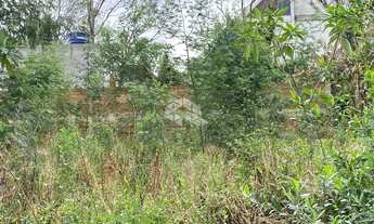 Imagem 4: Terreno central em Nova Patrópolis RS