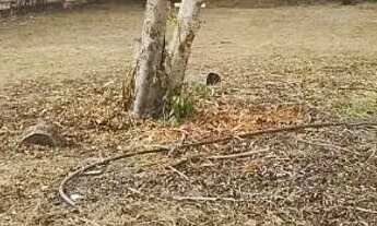 Imagem 2: Terreno bem localizado Santarém PA