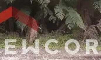 Imagem 7: Lote em condomínio em Av A - Colinas - São Francisco de Paula/RS