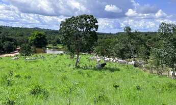 Imagem 3: Fazenda 43 alqueires