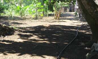 Imagem 5: Aluguel de Chácara com casa mobiliada Parque Residencial Nova Almeida