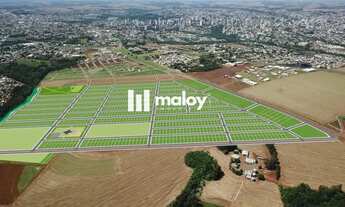 Imagem 3: Terreno para Venda em Cascavel, Brasmadeira