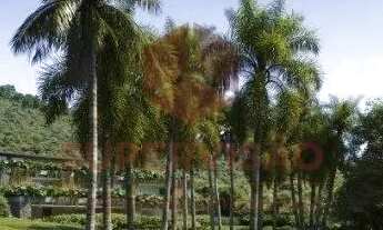 Imagem 2: Apartamento Garden com 3 dormitórios à venda, 503 m² por R$ 11.000.000 - Centro - Florianó