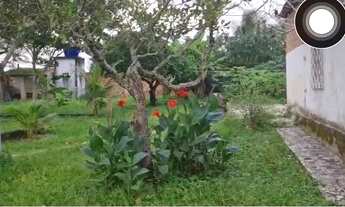 Imagem 2: Vendo chácara no porção colônia 13