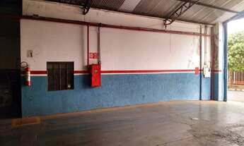 Imagem 7: Galpão em Campos Elís - Ribeirão Preto