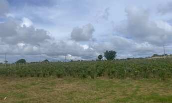 Imagem 5: Vendo chácara no Incra (Texas