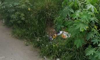 Imagem 7: Terreno à venda, 290 m² por R$ 120.000,00 - Jardim Japão (Caucaia do Alto) - Cotia/SP